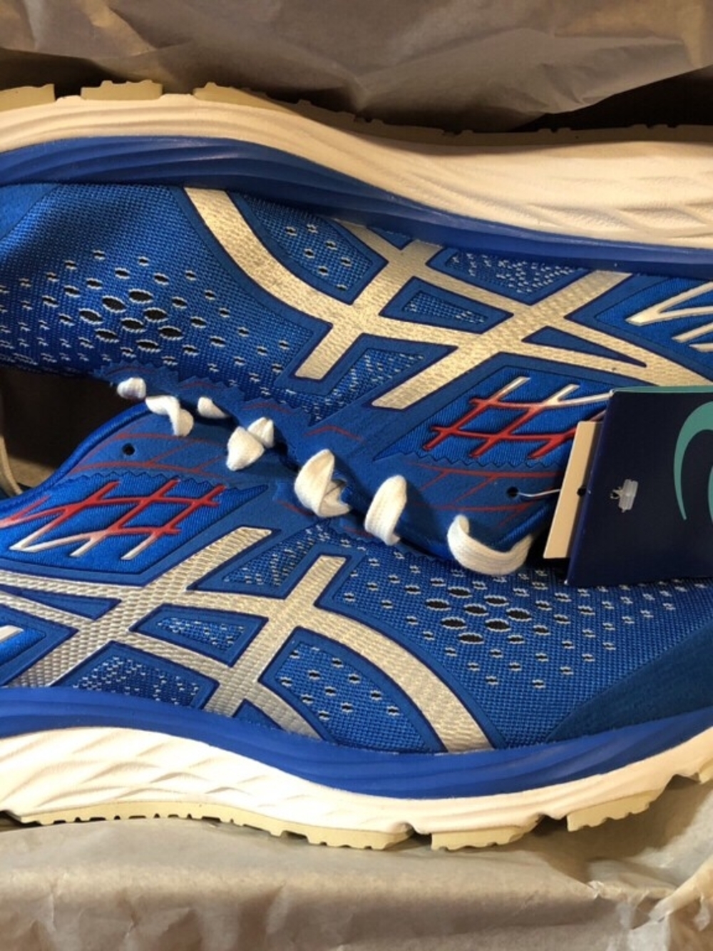 [ NWT ] Asics Gel-Cumulus 21 Tokyo Olympics Edition (US 11)